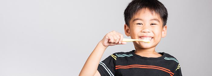 What does dental insurance cover