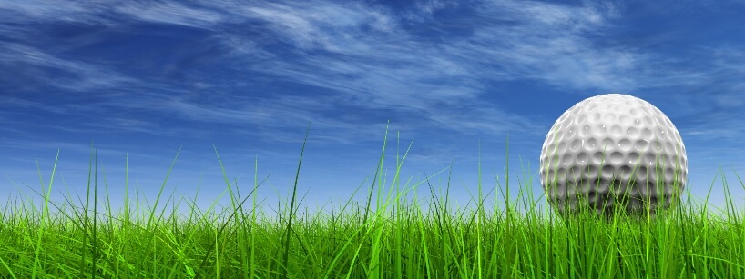 golf ball sitting in grass